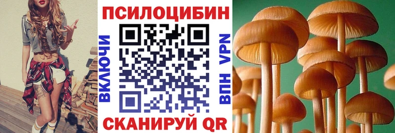 купить   Мглин  Галлюциногенные грибы Magic Shrooms 