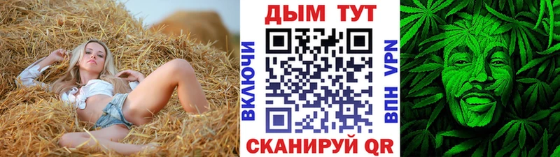 как найти закладки  blacksprut tor  Бошки марихуана индика  Мглин 